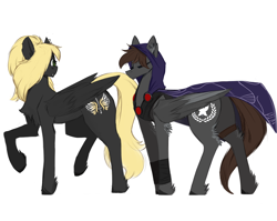 Size: 3000x2393 | Tagged: safe, artist:nsilverdraws, oc, oc only, oc:nightstalker, oc:veen sundown, horse, pegasus, pony, cape, clothes, duo, duo female, female, high res, hood, mare, raised hoof, simple background, standing, sundown clan, white background