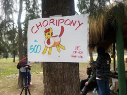 Size: 600x450 | Tagged: safe, artist:ionipony, artist:wrath-marionphauna, oc, oc only, oc:choripony, bread, chile, chilean, choripan, convention, food, irl, meta, photo, picture, sign, traditional art, tree