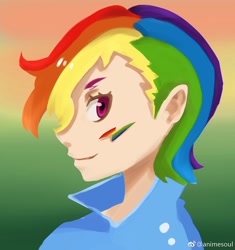 Size: 1600x1700 | Tagged: safe, artist:animesoul, part of a set, rainbow dash, human, g4, face paint, female, humanized, profile, solo