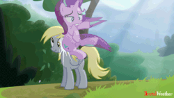 Size: 640x360 | Tagged: safe, artist:brutalweather studio, derpy hooves, starlight glimmer, pegasus, pony, unicorn, g4, rock solid friendship, abuse, collision, derpybuse, duo, duo female, female, gif, glimmerbuse, hitting, i can't believe it's not hasbro studios, mare, non-animated gif, scrunchy face, show accurate
