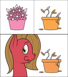 Size: 1280x1440 | Tagged: safe, artist:bingodingo, oc, oc only, oc:pun, pony, ask pun, ask, flower, herbivore, horses doing horse things, solo