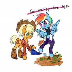 Size: 2048x2048 | Tagged: safe, artist:laya-21, applejack, rainbow dash, earth pony, pegasus, pony, g4, alternate hairstyle, bipedal, boots, clothes, cowboy boots, cowboy hat, duo, female, hat, high res, lesbian, mare, no pupils, rainbow douche, ship:appledash, shipping, shirt, shoes, simple background, watering can, white background