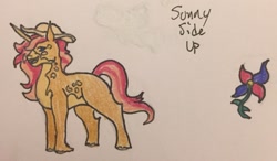 Size: 935x547 | Tagged: safe, artist:silvermlp, oc, oc only, oc:sunny side up, pony, unicorn, magical gay spawn, offspring, parent:big macintosh, parent:donut joe, parents:donutmac, solo, traditional art
