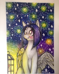 Size: 768x960 | Tagged: safe, artist:madkadd, oc, oc only, firefly (insect), insect, pegasus, pony, candle, lantern, night, outdoors, pegasus oc, sitting, smiling, solo, stars, traditional art, wings