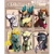 Size: 1080x1080 | Tagged: safe, artist:artmadebyred, arizona (tfh), oleander (tfh), paprika (tfh), pom (tfh), tianhuo (tfh), velvet (tfh), alpaca, classical unicorn, cow, deer, dragon, hybrid, lamb, longma, pony, reindeer, sheep, unicorn, them's fightin' herds, antlers, bust, cloven hooves, community related, curved horn, eyelashes, female, fightin' six, frown, horn, leonine tail, mane of fire, neckerchief, open mouth, signature, six fanarts, smiling, unshorn fetlocks