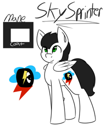 Size: 1769x2048 | Tagged: safe, artist:askhypnoswirl, oc, oc only, oc:skysprinter, pony, colors, cutie mark, name, reference sheet, simple, simple background, solo, white background