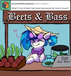 Size: 750x800 | Tagged: safe, artist:wingspiral, dj pon-3, vinyl scratch, fish, pony, unicorn, ask pun, g4, alternate universe, ask, beet, cute, female, hat, mare, pun, silly, solo, vinylbetes, visual pun, weapons-grade cute, wingspiral is trying to murder us