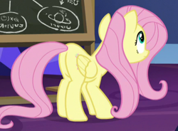 Size: 433x318 | Tagged: safe, screencap, fluttershy, pony, g4, growing up is hard to do, butt, chalkboard, cropped, female, flutterbutt, plot, solo