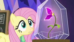Size: 1920x1080 | Tagged: safe, screencap, fluttershy, pegasus, pony, g4, growing up is hard to do, chalkboard, female, flower, mare, solo, wishing flower