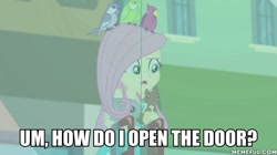 Size: 600x337 | Tagged: safe, edit, edited screencap, screencap, fluttershy, bird, rabbit, squirrel, equestria girls, g4, my little pony equestria girls: better together, tip toppings, animal, caption, image macro, memeful.com, text