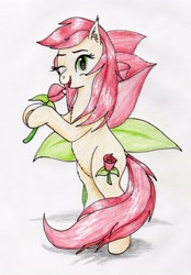 Size: 1984x2845 | Tagged: safe, artist:40kponyguy, derpibooru exclusive, roseluck, earth pony, pony, g4, bipedal, cute, cutie mark, cutie mark background, ear fluff, female, flower, hoof hold, looking at you, mare, one eye closed, rosabetes, rose, simple background, solo, traditional art, wink