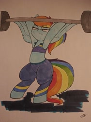 Size: 3072x4096 | Tagged: safe, artist:taurson, rainbow dash, pony, g4, alternate hairstyle, buckball fan gear rainbow dash, clothes, female, jacket, pants, ponytail, solo, sweatpants, traditional art, weight lifting, weights