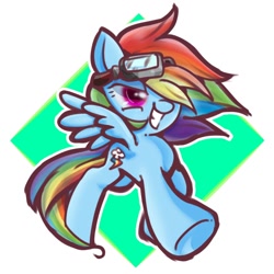 Size: 768x768 | Tagged: safe, artist:tomizawa96, rainbow dash, pegasus, pony, g4, female, goggles, hair over one eye, solo, windswept mane