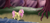 Size: 1254x581 | Tagged: safe, artist:d3pressedr4inbow, fluttershy, pony, g4, female, solo, tree