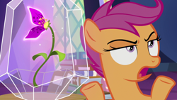 Size: 1920x1080 | Tagged: safe, screencap, scootaloo, pony, g4, growing up is hard to do, female, flower, solo, wishing flower