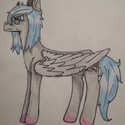 Size: 894x894 | Tagged: safe, artist:starly_but, oc, oc only, pegasus, pony, colored hooves, frown, glasses, pegasus oc, solo, traditional art, wings