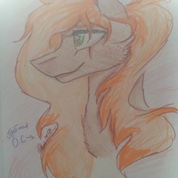 Size: 1080x1080 | Tagged: safe, artist:olyaandspid, oc, oc only, earth pony, pony, 2010s, 2019, earth pony oc, signature, smiling, solo, traditional art