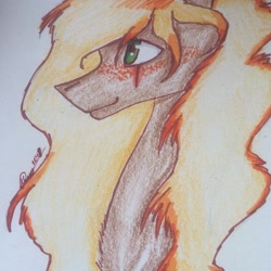 Size: 1080x1080 | Tagged: safe, alternate version, artist:olyaandspid, oc, oc only, earth pony, pony, 2010s, 2019, earth pony oc, signature, smiling, solo, traditional art