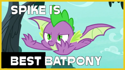 Size: 1280x720 | Tagged: safe, artist:starponys87, screencap, spike, bat pony, dragon, g4, bat ponies in the comments, bat wings, best pony, caption, flying, image macro, joke, male, meme, solo, text, winged spike, wings