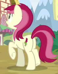 Size: 327x414 | Tagged: safe, screencap, roseluck, earth pony, pony, g4, growing up is hard to do, butt, cropped, female, plot, rosebutt, solo