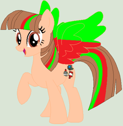 Size: 425x435 | Tagged: safe, artist:twidashfan1234, oc, oc only, oc:firefly solstice, pegasus, pony, 1000 hours in ms paint, solo