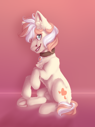 Size: 1506x2000 | Tagged: safe, oc, oc only, pony, artfight, artfight 2020, collar, cute, male, pink background, reflection, simple background, solo, stallion