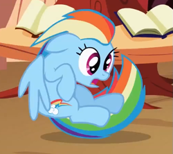 Size: 507x450 | Tagged: safe, screencap, rainbow dash, pony, g4, lesson zero, book, cropped, derp, female, golden oaks library, solo