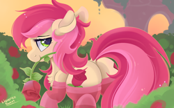 Size: 1600x1000 | Tagged: safe, artist:liquorice_sweet, roseluck, earth pony, pony, g4, both cutie marks, butt, chest fluff, clothes, cute, featureless crotch, female, flower, mare, plot, rose, rosebutt, socks, solo, striped socks