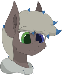 Size: 4671x5611 | Tagged: safe, artist:skylarpalette, oc, oc only, oc:silver lining, earth pony, pony, big ears, bust, cheek fluff, clothes, ear fluff, earth pony oc, fluffy, hoodie, looking forward, male, simple background, simple shading, solo, stallion, transparent background, wat, worried