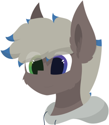 Size: 4810x5531 | Tagged: safe, alternate version, artist:skylarpalette, oc, oc only, oc:silver lining, earth pony, pony, big ears, bust, cheek fluff, ear fluff, earth pony oc, fluffy, lineless, looking forward, male, simple background, simple shading, smiling, solo, stallion, transparent background
