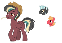 Size: 1024x701 | Tagged: safe, artist:sapphiretwinkle, big macintosh, thunderlane, oc, pegasus, pony, g4, hat, magical gay spawn, male, next generation, offspring, parent:big macintosh, parent:thunderlane, parents:thundermac, simple background, stallion, transparent background