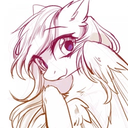 Size: 1280x1280 | Tagged: safe, artist:swaybat, oc, oc only, pegasus, pony, female, looking at you, mare, sketch, solo