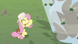 Size: 1920x1080 | Tagged: safe, screencap, fluttershy, fly, fly-der, hybrid, spider, daring doubt, g4