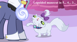 Size: 1260x693 | Tagged: safe, edit, edited screencap, editor:korora, screencap, hoity toity, opalescence, cat, earth pony, pony, g4, suited for success, bow, clothes, cropped, cute, female, male, opalbetes, pet collar, pure unfiltered evil, stallion, suit, text, this will not end well