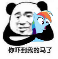 Size: 1003x1024 | Tagged: safe, rainbow dash, g4, chinese, chinese meme, cursed image, meme, shocked, wat, why