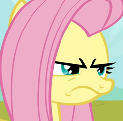Size: 659x648 | Tagged: safe, screencap, fluttershy, pony, g4, putting your hoof down, cropped, female, frown, peeved, solo