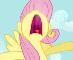 Size: 785x648 | Tagged: safe, screencap, fluttershy, pony, g4, putting your hoof down, cropped, female, mawshot, nose in the air, open mouth, solo, uvula, yelling