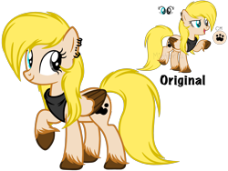 Size: 4500x3375 | Tagged: safe, artist:avatarmicheru, oc, oc only, oc:lush paw, pegasus, pony, female, high res, mare, simple background, solo, transparent background, two toned wings, wings