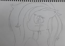 Size: 2048x1464 | Tagged: safe, artist:steamyart, fluttershy, pegasus, pony, g4, crying, female, monochrome, pencil drawing, solo, traditional art