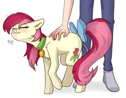 Size: 2386x1866 | Tagged: safe, artist:chibadeer, roseluck, human, pony, g4, behaving like a cat, bow, collar, commissioner:doom9454, cute, cyrillic, eyes closed, fluffy, human on pony petting, pet tag, petting, pony pet, purring, rosepet, russian, simple background, tail bow, translated in the description, white background