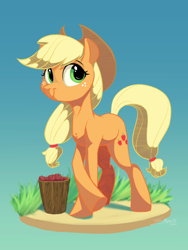 Size: 1500x2000 | Tagged: safe, artist:silverhopexiii, applejack, earth pony, pony, g4, apple, blue background, bucket, female, food, mare, simple background, solo