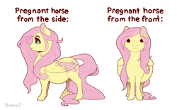 Size: 1300x806 | Tagged: safe, artist:evehly, fluttershy, pegasus, pony, :i, belly, big belly, blank eyes, chest fluff, colored wings, colored wingtips, cute, female, looking at you, mare, preggoshy, pregnant, profile, shyabetes, simple background, smiling, solo, text, two toned wings, white background, wide load, wing fluff, wings, •-•