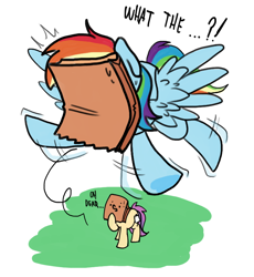 Size: 700x760 | Tagged: safe, artist:paperbagpony, rainbow dash, oc, oc:paper bag, earth pony, pegasus, pony, g4, blinded, dialogue, fake cutie mark, female, flying, mare, oh dear, paper bag