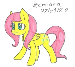 Size: 959x861 | Tagged: safe, artist:cmara, fluttershy, pegasus, pony, g4, female, mare, solo, traditional art, worried