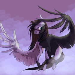 Size: 2000x2000 | Tagged: safe, artist:baccizoof, oc, oc only, pegasus, pony, high res, solo