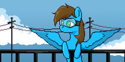 Size: 2000x1000 | Tagged: safe, artist:armi4an, oc, oc only, oc:blue scroll, pegasus, pony, male, pixel art, safety goggles