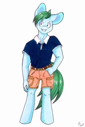 Size: 768x1136 | Tagged: safe, artist:hs_creativestudios, oc, oc only, oc:summer fluff, anthro, clothes, male, polo shirt, shorts, solo, stallion