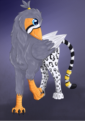 Size: 1881x2673 | Tagged: safe, artist:livid-silver, oc, oc:ruzeth, pony, artfight, beak, male, paws, talons, zebra finch