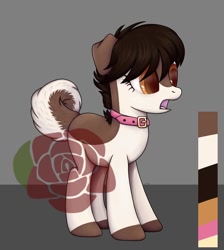Size: 1080x1204 | Tagged: safe, artist:ash_helz, oc, oc only, dog, dog pony, pony, :o, collar, colored hooves, floppy ears, open mouth, reference sheet, solo, watermark