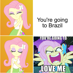 Size: 809x810 | Tagged: safe, edit, edited screencap, screencap, fluttershy, equestria girls, g4, the best night ever, flutterrage, hotline bling, meme, you're going to brazil, you're going to love me